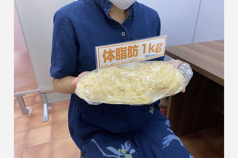体脂肪模型